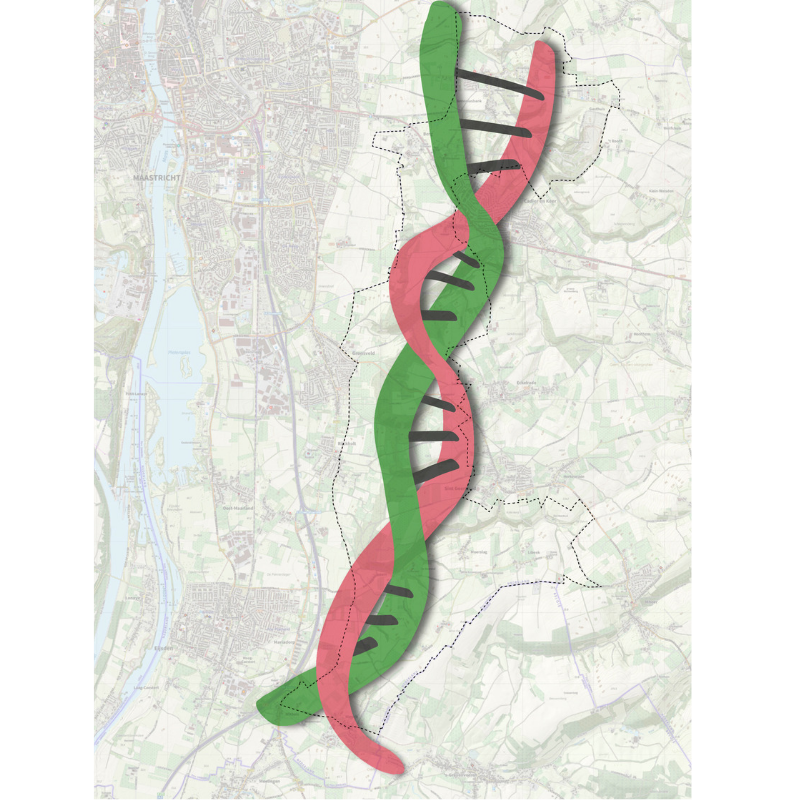 Project Gebiedsvisie Middenterras DNA